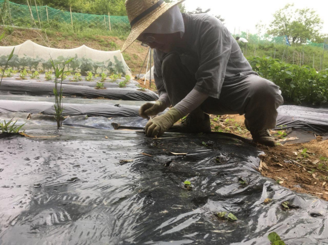 Sunim preparing to tend to his farm