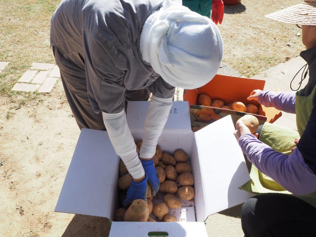 Box full of potatoes for the neighbor farmer