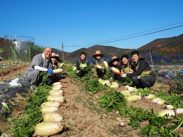 Choosing the best radishes