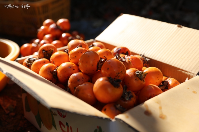 Box full of persimmons